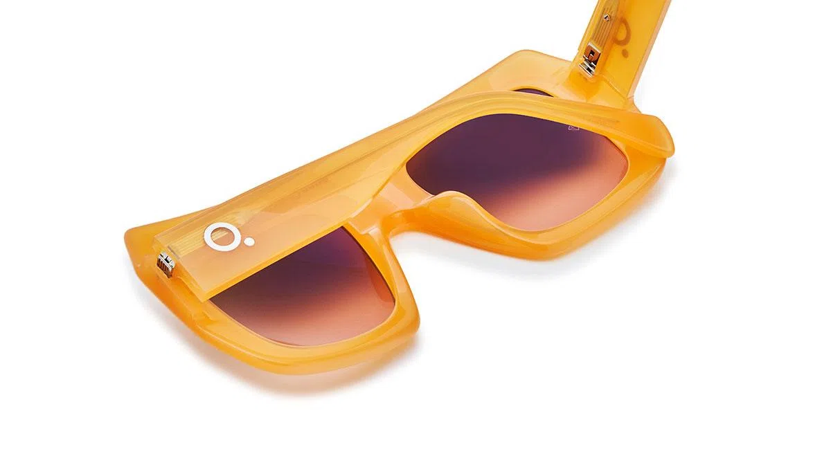 Etnia Barcelona BRIGITTE Sunglasses - view 5